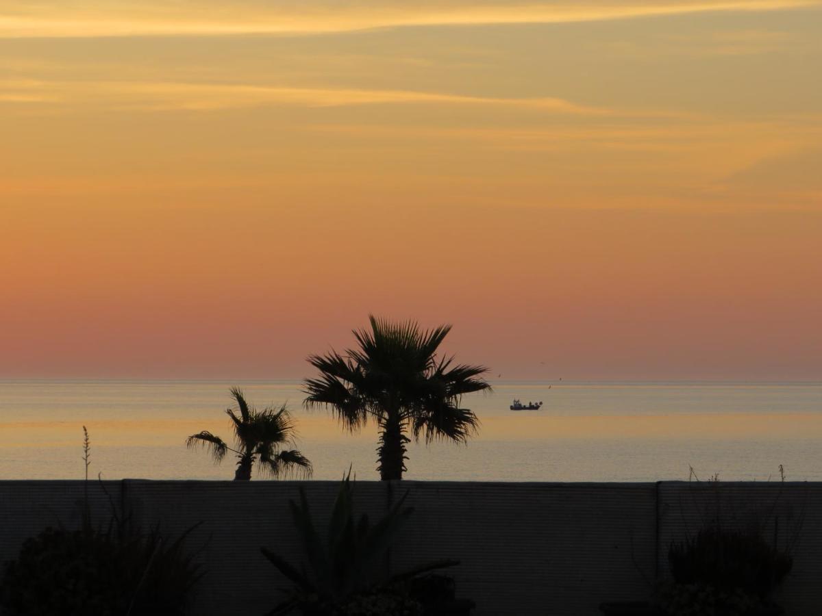 Ground Floor Studio With Access To Beach And Pool Le Barcarès Eksteriør bilde